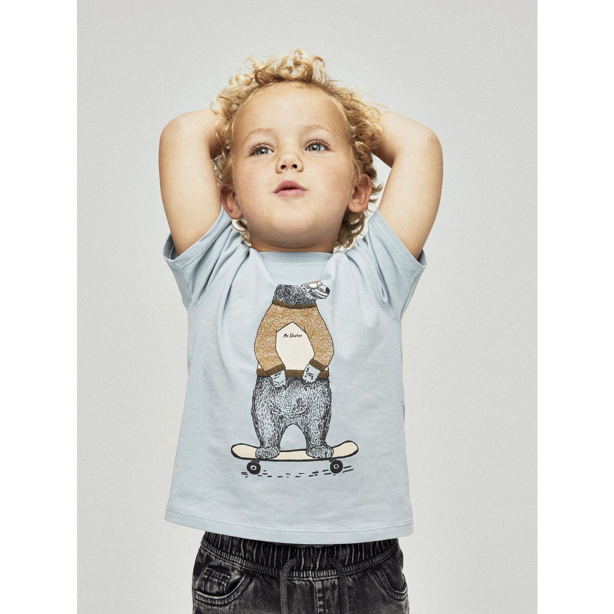 Name It Dusty Blue Nmmlinden Ss Nreg Top Box