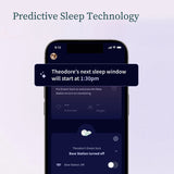 Owlet Bedtime Blue Dream Sock