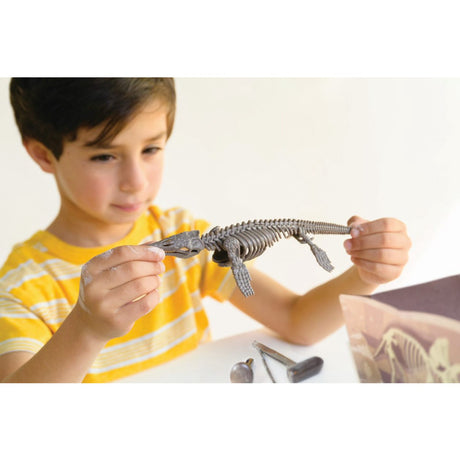 4M Udgrav Et Mosasaurus-Skelet