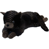 작성자 : Astrup Gravity, 고양이, 1.2kg.