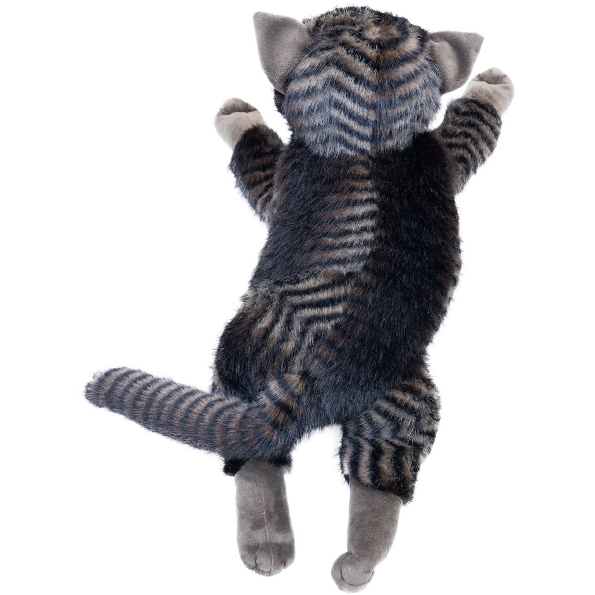 작성자 : Astrup Gravity, 고양이, 1.2kg.