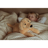 Astrup Gravitational Dog, 2.2kg.