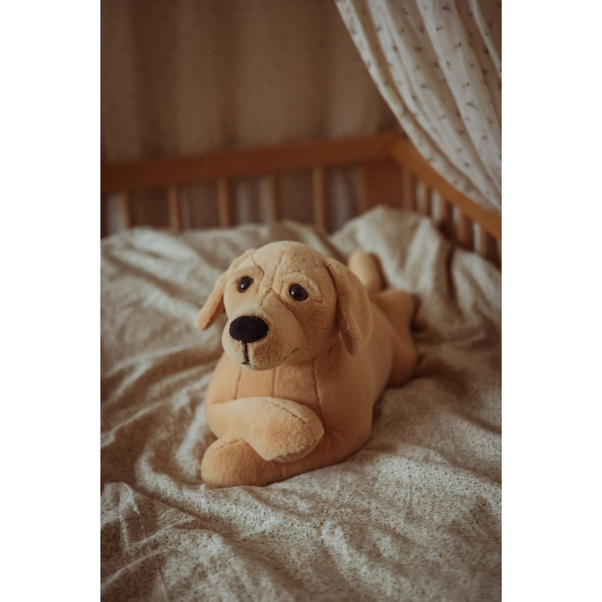 Astrup Gravitational Dog, 2.2kg.