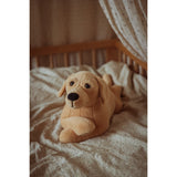 Astrup Gravitational Dog, 2.2kg.