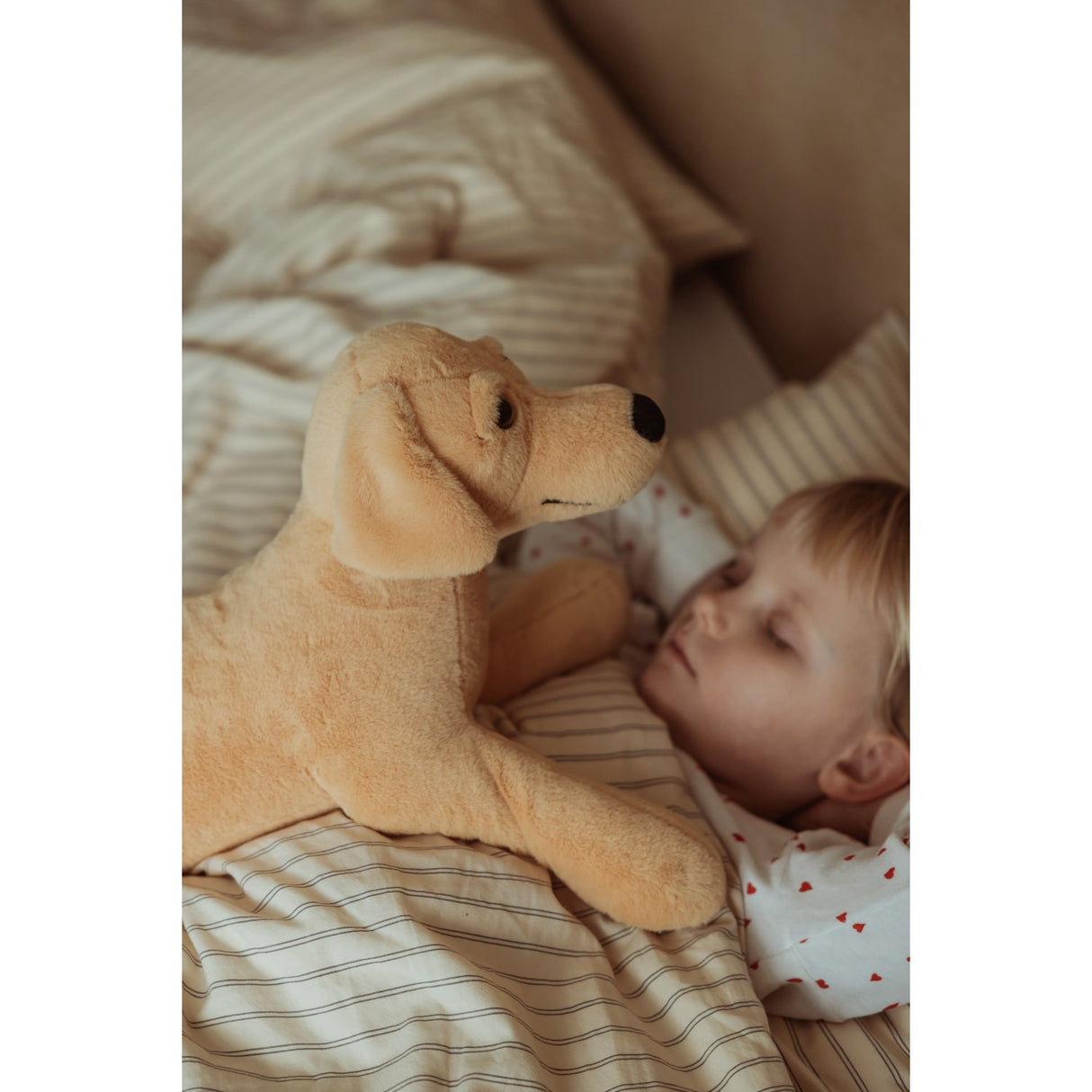 Astrup Gravitational Dog, 2.2kg.