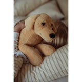 Astrup Gravitational Dog, 2.2kg.