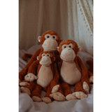 작성자 : Astrup Gravity, 원숭이, 0.5 kg.