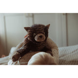 작성자 : Astrup Gravity, 고양이, 1.2kg.