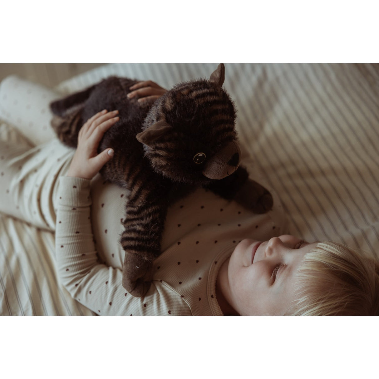 작성자 : Astrup Gravity, 고양이, 1.2kg.