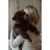 작성자 : Astrup Gravity, 고양이, 1.2kg.