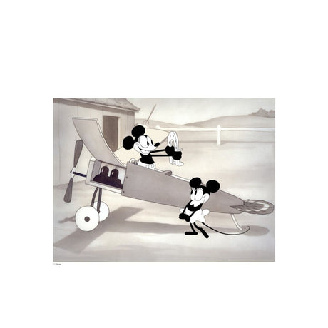 Poster & Frame Disney - Vintage Crazy Plane No. 02