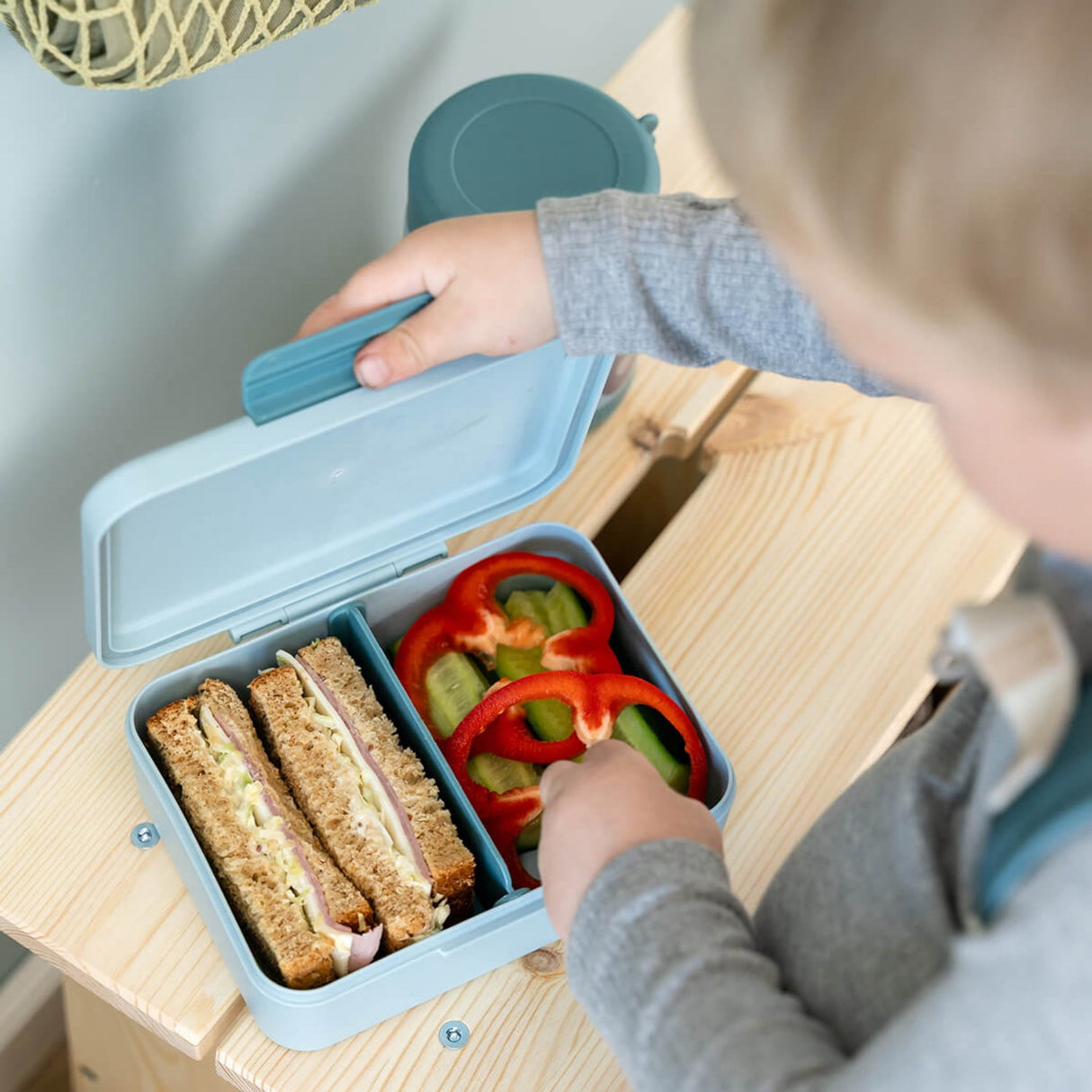 DonebyDeer Blue Lunch Box With Divider Tiny Farm