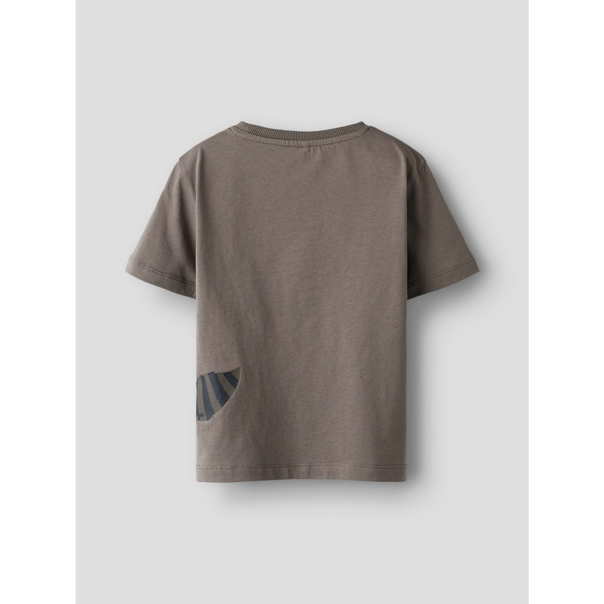 Name It Falcon Nmmkester Ss Nreg Top