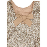 The New Gold Rupa L_S Sequin Dress
