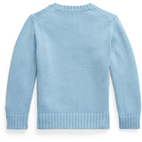 Polo Ralph Lauren Chambray Blue/C1367 Sweater