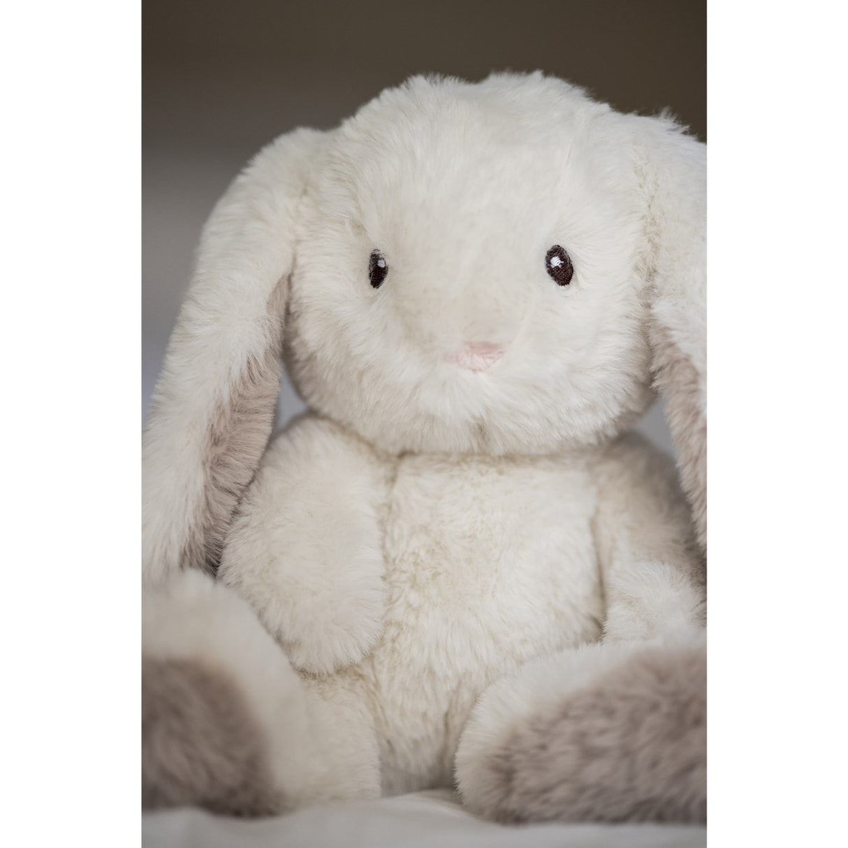 Teddykompaniet Creme Teddy Mocca - Kanin, 34 Cm