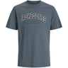 Jack & Jones Junior Stormy Weather Jjecaleb Varsity Tee Ss O-Neck Noos Jnr