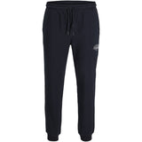 Jack & Jones Junior Sky Captain Jpstgordon Makoto Sweat Pants Jnr