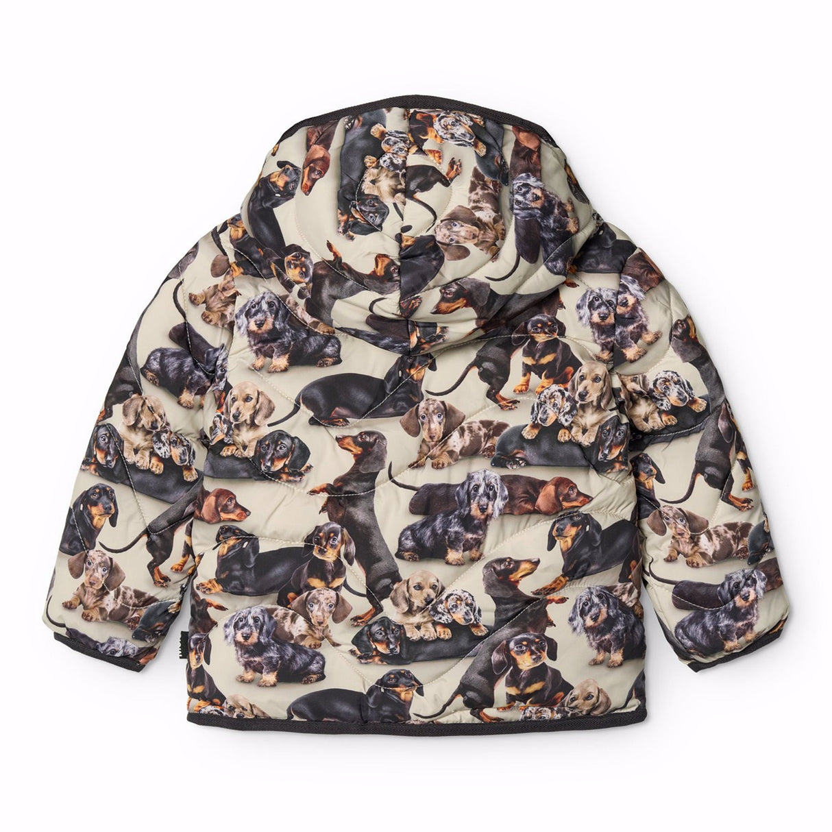 Molo Dashshund Soft Harmony Jacket