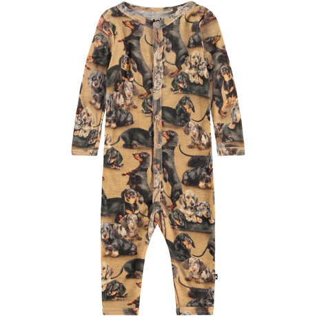 Molo Dachshunds Fahari Wool Bodysuits Jersey