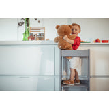 tiSsi® Stormy Grey Laquer Felix Learning Tower Massiv Beech