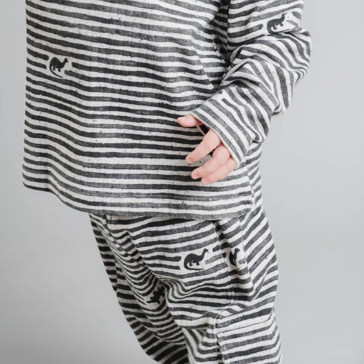 That's Mine Mono Dino Stripe Arthur Pants