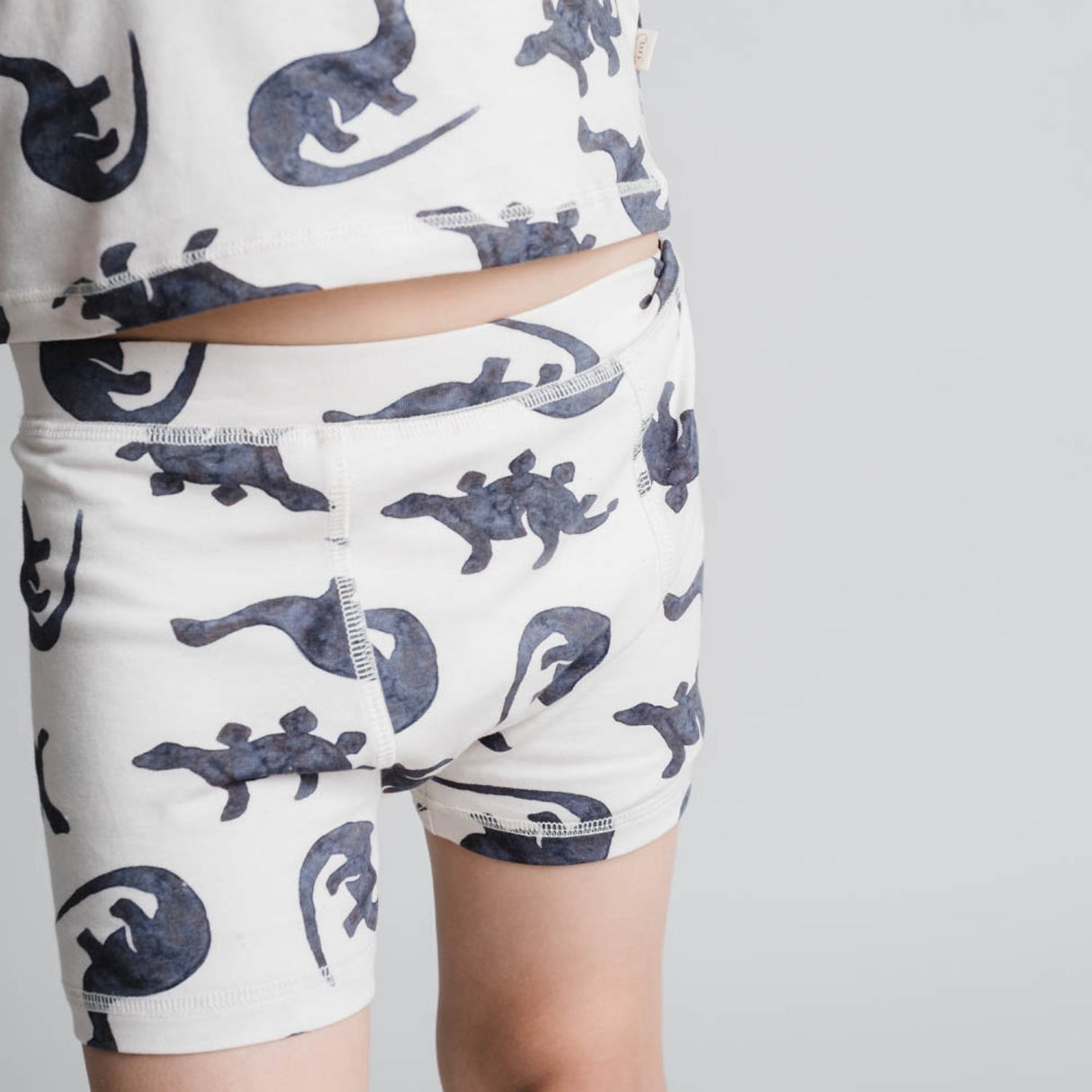 That's Mine Mono Dino Ebbe Boxershorts 2-Pack