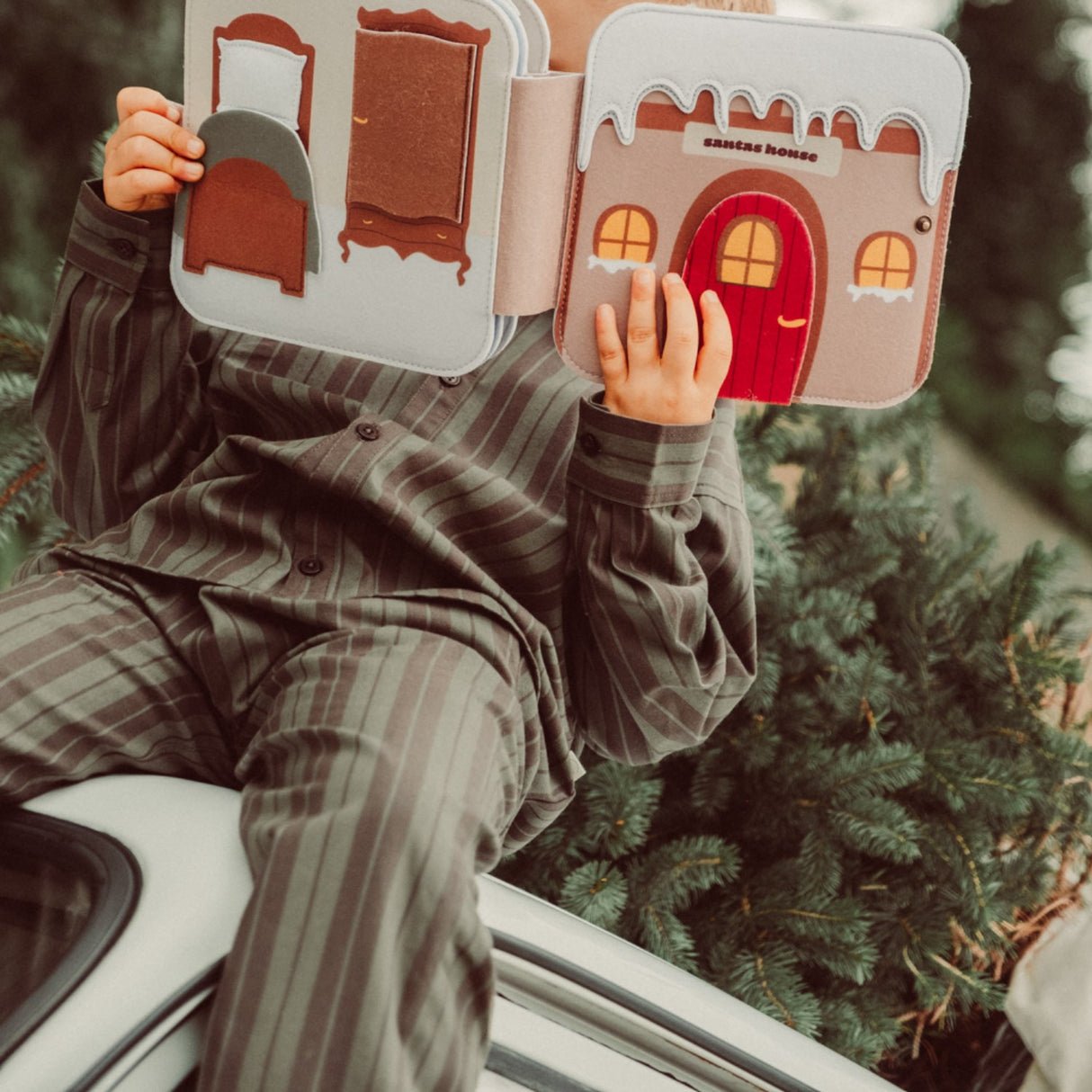 That's Mine Christmas Bear Emory Felt Activity Book