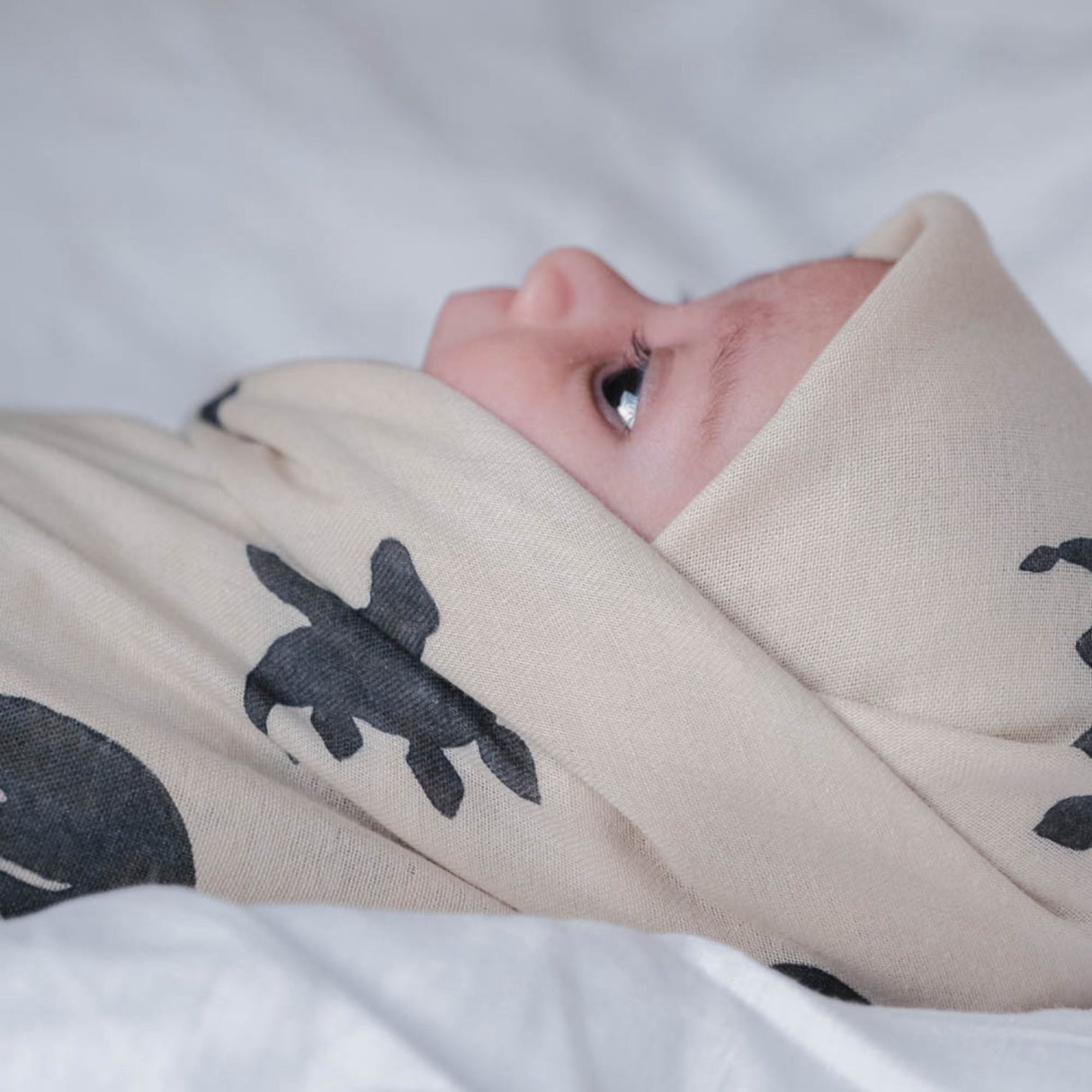 That's Mine Mono Dino Jana Muslin Swaddle