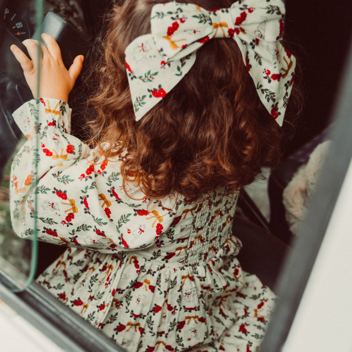 That's Mine Christmas Wreath Sarah Dress