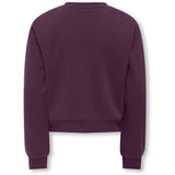 kids ONLY Mauve Wine Los Angeles - California Kogsweat Life Ls Crew Ovz Stat Swt Noos