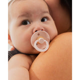 Bibs Petal Pacifier Colour 2-Pack Latex Plum