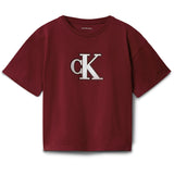 Calvin Klein Raspberry Chocolate Festive Graphic Ss T-Shirt
