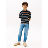 Tommy Hilfiger Navy Multi Stripe Cotton Stripe Tee Ss