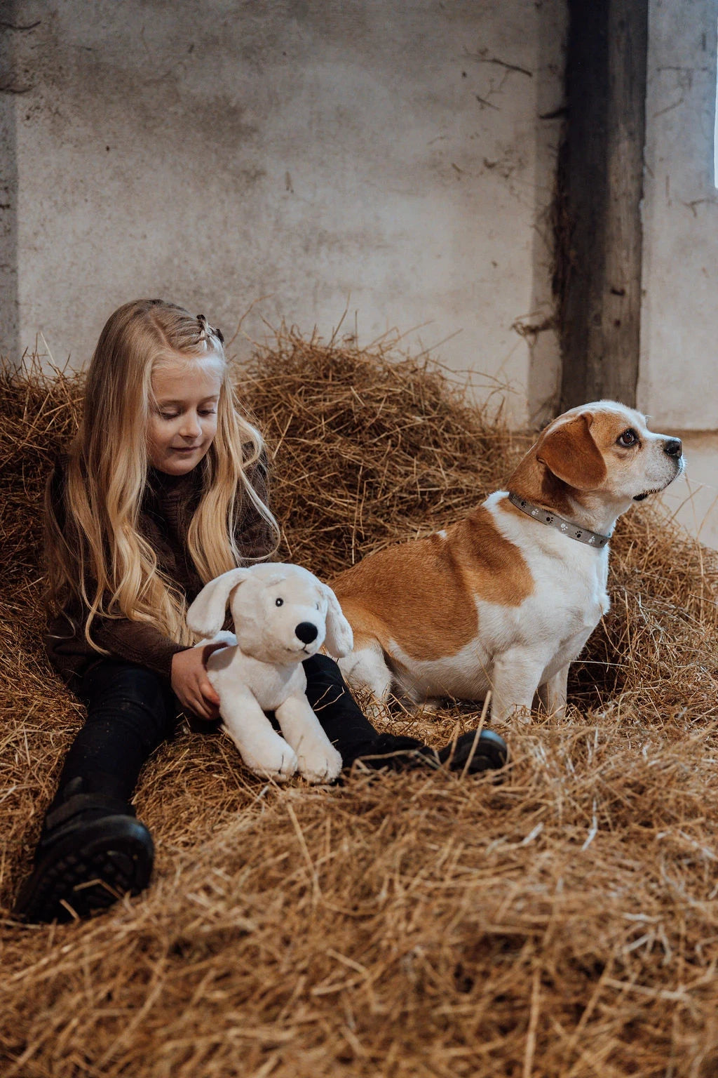 by Astrup 강아지와 플러시 개