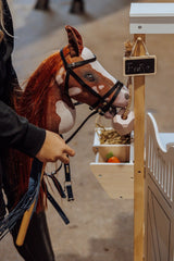 제작: Astrup Hobby Horse, Coco, Maroon/White