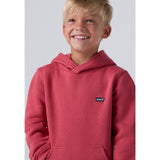 Levi's Cardinal Mini Batwing Pull Over Hoodie