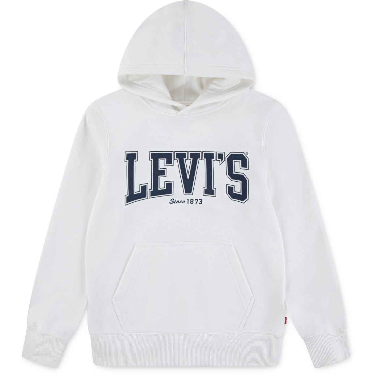 Levi's Blanc De Blanc The Great Highway Hoodie