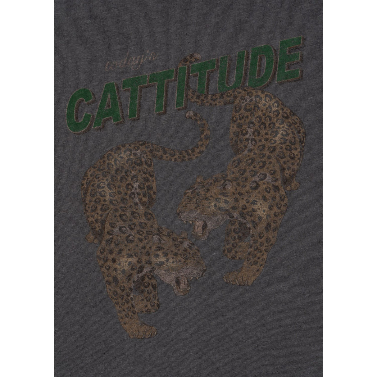 Konges Sløjd Cattitude Era Ls Tee Ocs