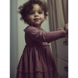 Lil'Atelier Nostalgia Rose Nbfrobelle Ls Body Dress Lil