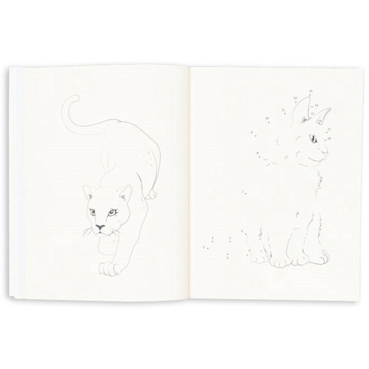 Konges Sløjd Multi Activity Book With Colouring Pencils