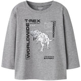 Name It Grey Melange Nmmbryso Ls Nreg Top Box