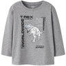Name It Grey Melange Nmmbryso Ls Nreg Top Box