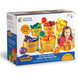 Learning Resources® Farmer's Market Colour Sorting Set