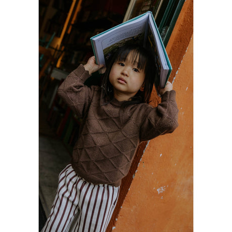 Fliink Coffee Bean Emily Knit Pullover