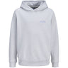 Jack & Jones Junior White Melange Jjcollege Logo Sweat Hood Jnr