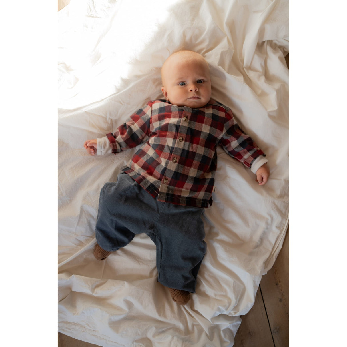 Wheat Red Blue Check Shirt Shelby