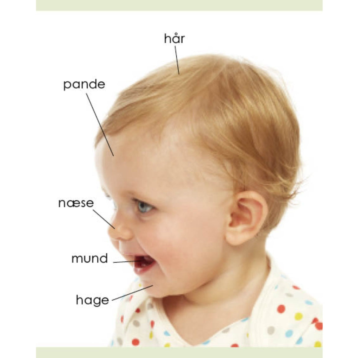 Forlaget Tukan Kigge-Pege-Snakke: Kroppen