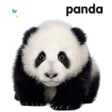 Forlaget Tukan Ryste-Ryste: Dyreunger