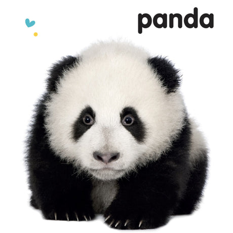 Forlaget Tukan Ryste-Ryste: Dyreunger